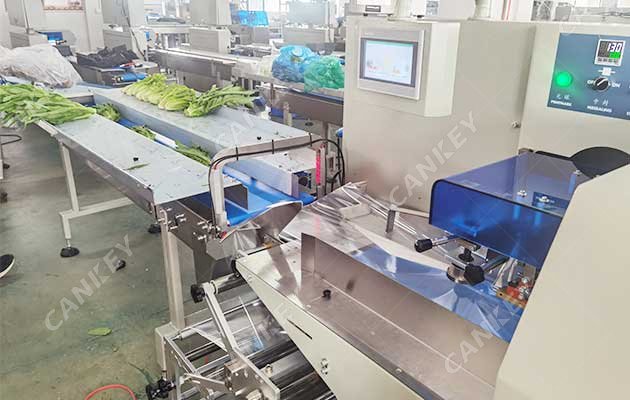 горизонтальная упаковочная машина флоу-пак